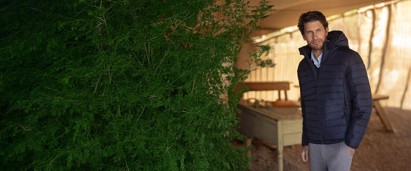 THC SHIELD — imagem 1 da ficha técnica