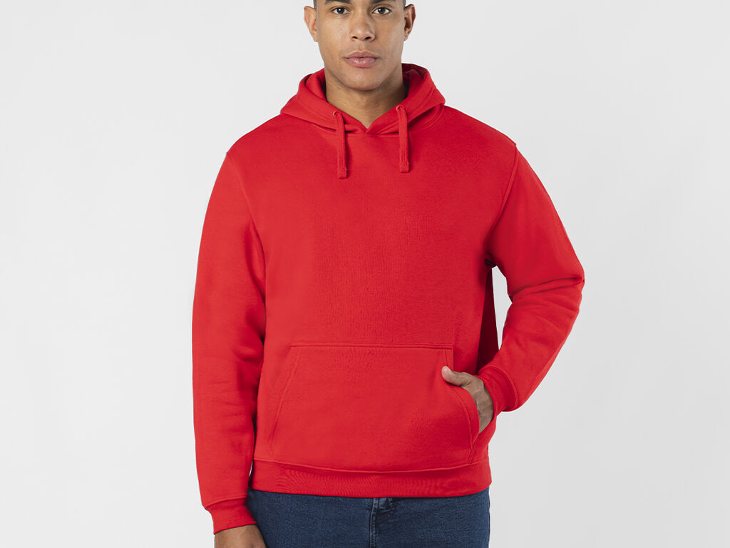 Sweatshirt Adulto Draco