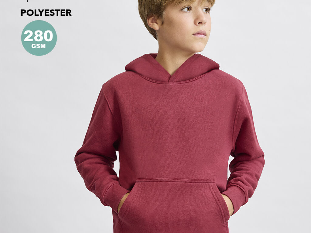 Sweatshirt Criança Draco